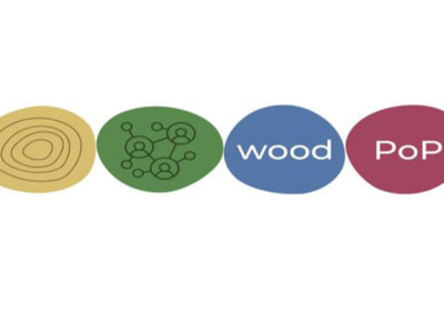 Wood Policy Platform