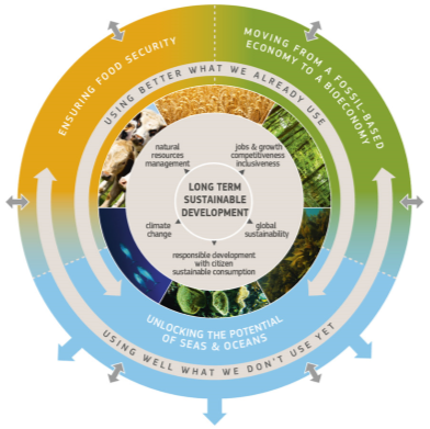 Figure 4: Aims of the European bioeconomy strategy  (Source: European Commission, 2018)