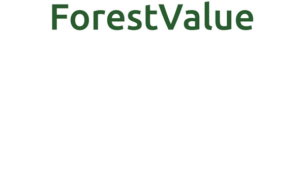 ForestValue Logo