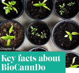 Key facts about BioCannDo